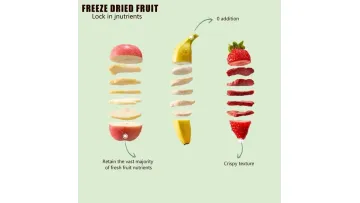 Freeze Dried Mango Fd Mango Freeze Dried Fruit Healthy Snack1