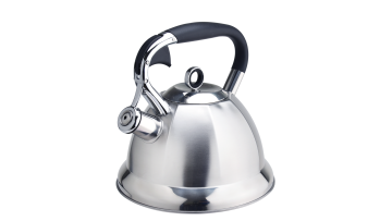 Removable lid stylish design tea kettle FH-392