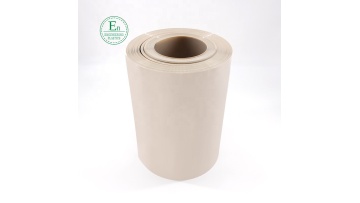 10mm peek film