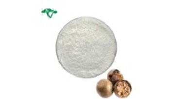 Bulk Supplier of Luo Han Guo (Momordica Grosvenori) Extracts - Mogroside V Powder Sweeteners1