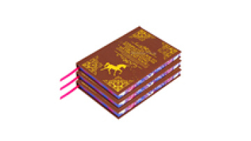 Custom Self Publishing Hardback Special Limited Edition Novel Book Hardcover Book Stencilled With Sprayed Edges1