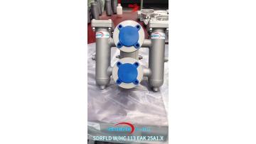 Duplex Inline Filter RFLD W/HC 113 EAK