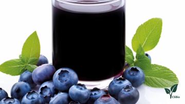 Fruit Juice Powder