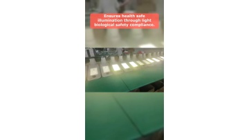Video 46