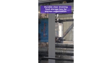 Video 6