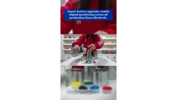 Video 13