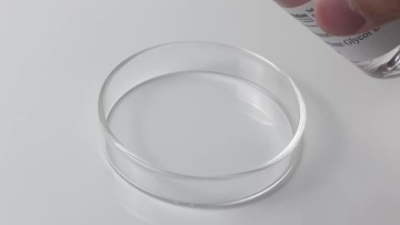 Butylene Glycol Dicaprylate