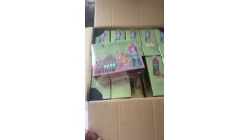 Good Sale RandM 9000 Puffs VAPE