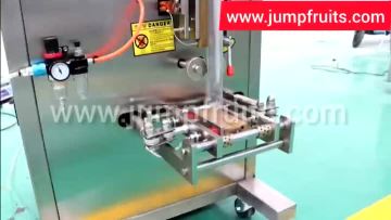 Paste Juice Milk Packaging Sealing Machine