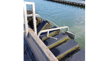 Flipped Farm Basket System for Oyster Farming