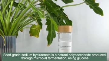 Food grade sodium hyaluronate