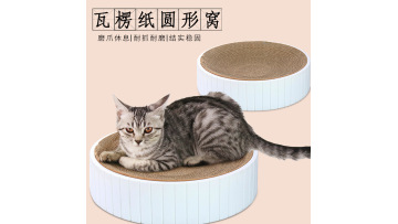 cat scratching board