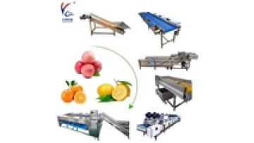 Industrial Air Bubble Fruit Washer Grading Line1