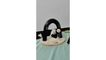 NWW-006 Arch Scratcher