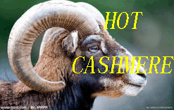 Huhhot Hot Cahmere Garments  and Accessories Co. Ltd.