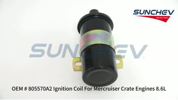 805570A2 Ignition Coil