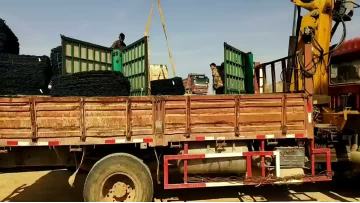 PVC coated razor barbed wire