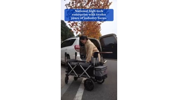 Video 37