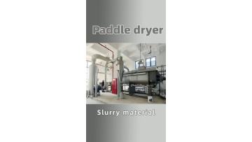 paddle dryer
