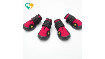 dog shoes running