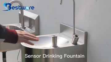 Sensor Drinking Fountain