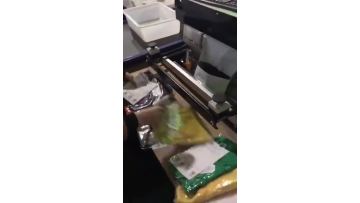 Fully Auto Bagging Machine