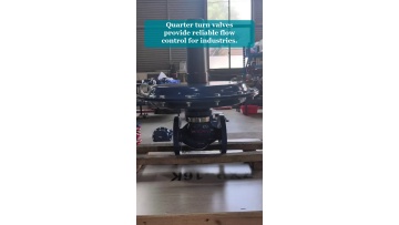 Video 29