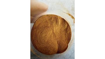 Corn Steep liquor Powder 42%