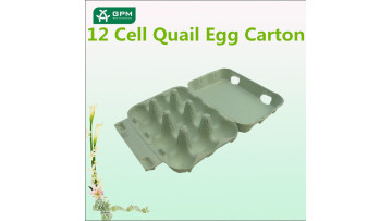 High Quality Best Price Quail Egg Pack For Sale1