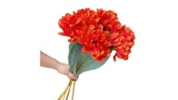 Artificial Silk Frangipani Big Plumeria Rubra for Wedding Centerpieces1