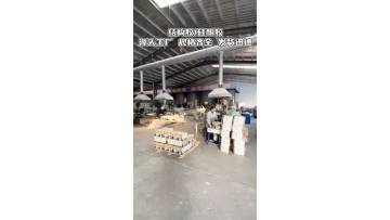 Factory Video