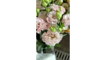 Fresh Cut Flower Pink Lisianthus Wedding Decoration High Quality Direct Supply