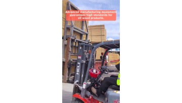 Video 58