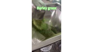 Video of barley grass air classifier mill (1)