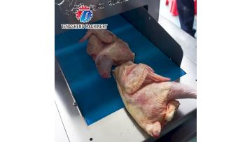 TS-DP300 Automatic chicken dicing machine