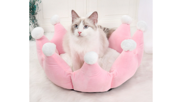 pet bed petsmart
