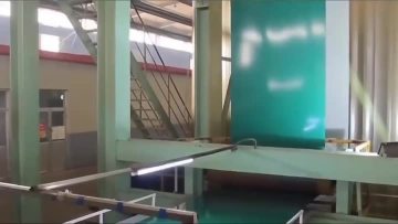 Prepainted Galvanized FlowerColor 