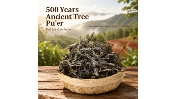 2025 Xiaohusai Ancient Tree Sun-Dried Raw Loose Tea