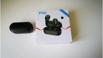 PT20