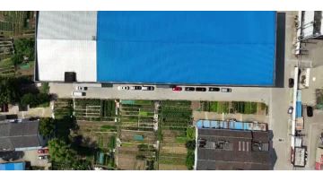 banner video