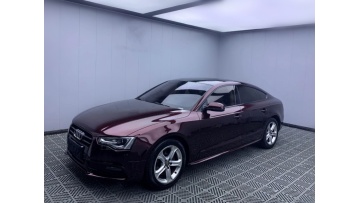 Metal Paint Black Rose