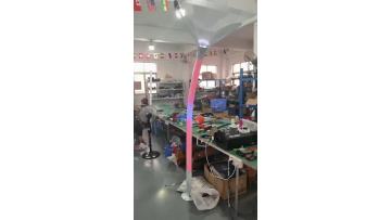 LED Morning Glory Shaped Light