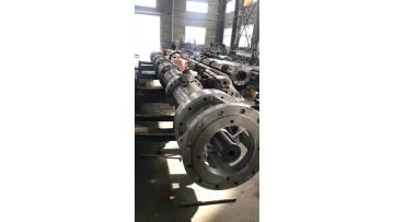 Carbon doixide foaming screw