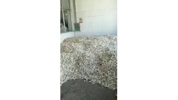 garlic flakes processing 12