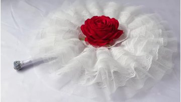 Fancy Dress Wedding Party Favour Gift Outdoor Dance Photo shoot White Lace Bridal Hand Fan1