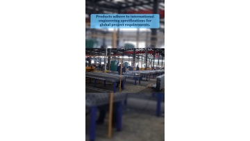 Video 7