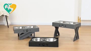dog bowl 