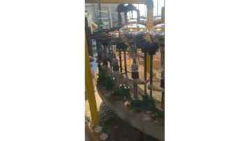 Bulb Encapsulation Process