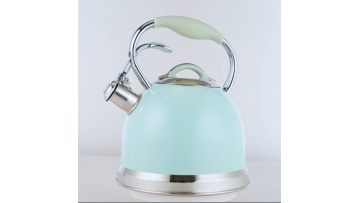Stainless steel cold blue coating tea kettleFH-532
