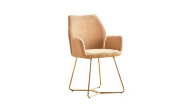 TL-23A02 Fabric-Support Armchair | Gold Frame Accent Chair